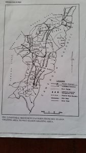 Map of Adamawa pastoral routes.